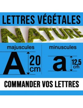 Lettres végétales (20cm)