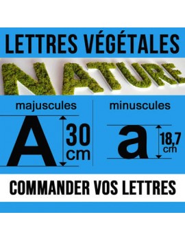 Lettres végétales (30cm)