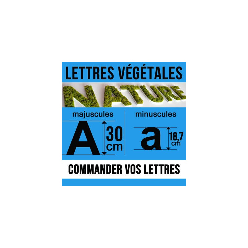 Lettres végétales pour Enseigne végétale ou logo végétal de hauteur 30 cm