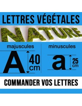 Lettres végétales (40cm)