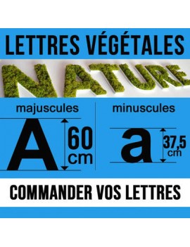 Lettres végétales pour Enseigne végétale ou logo végétal de hauteur 60 cm