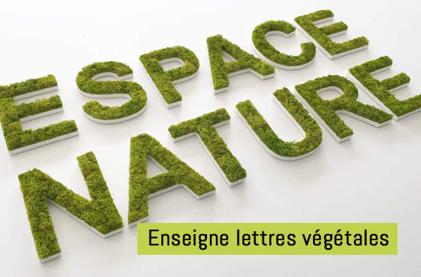 Lettres végétales et logo végétal pour une ambiance naturelle dans votre établissement